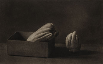 <em>Busshukan (Fingered Citrons)</em>　(1930)　bromoil print;　coll. MoMAK