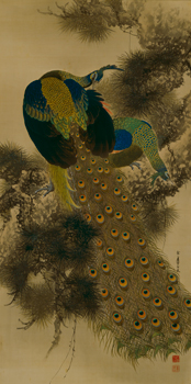 IMAO, Keinen, Old Pine and Peacock, 1916