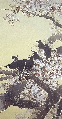 KIKUCHI, Hobun Crows and Cherry Blossoms