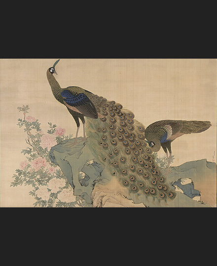 円山応挙　重要文化財《牡丹孔雀図》1771（明和8）年　京都・相国寺